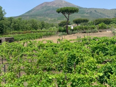 Pompeii and Vesuvius: A Journey Through Time and Nature