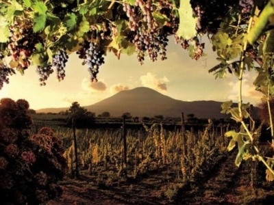 Pompeii and Vesuvius: A Journey Through Time and Nature
